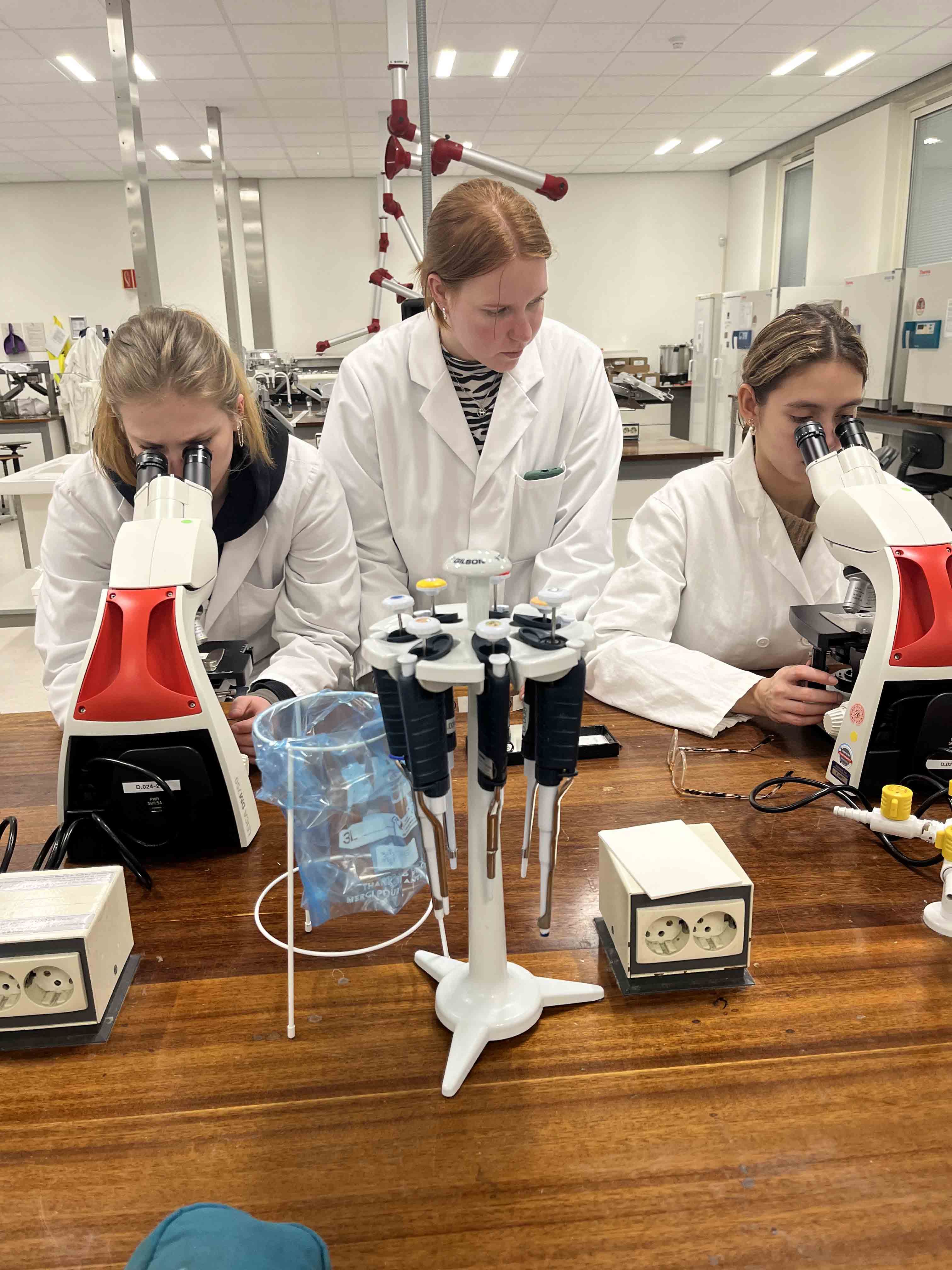 Drie studenten in een laboratorium onderzoeken preparaten met microscopen tijdens een wetenschappelijk project.