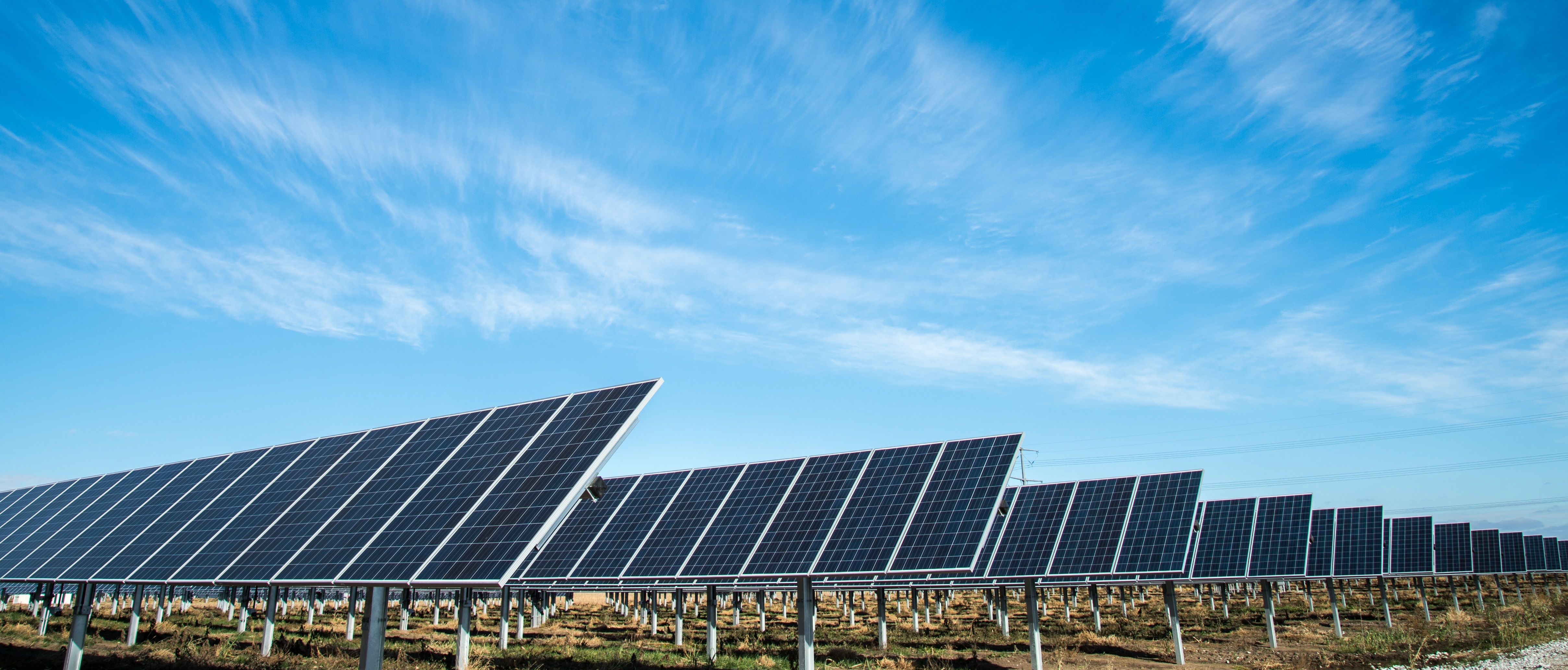 Rij zonnepanelen opgesteld in een veld, gericht op duurzame energieopwekking in een natuuromgeving
